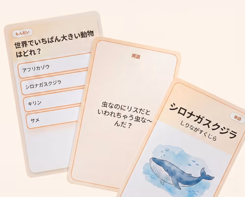 自分専用の問題イメージ